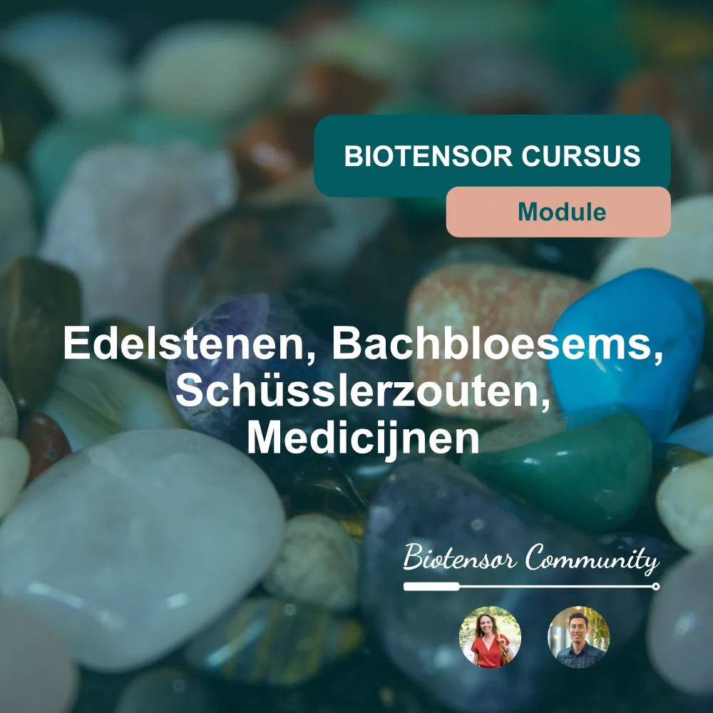 Biotensor Cursus Module Edelstenen