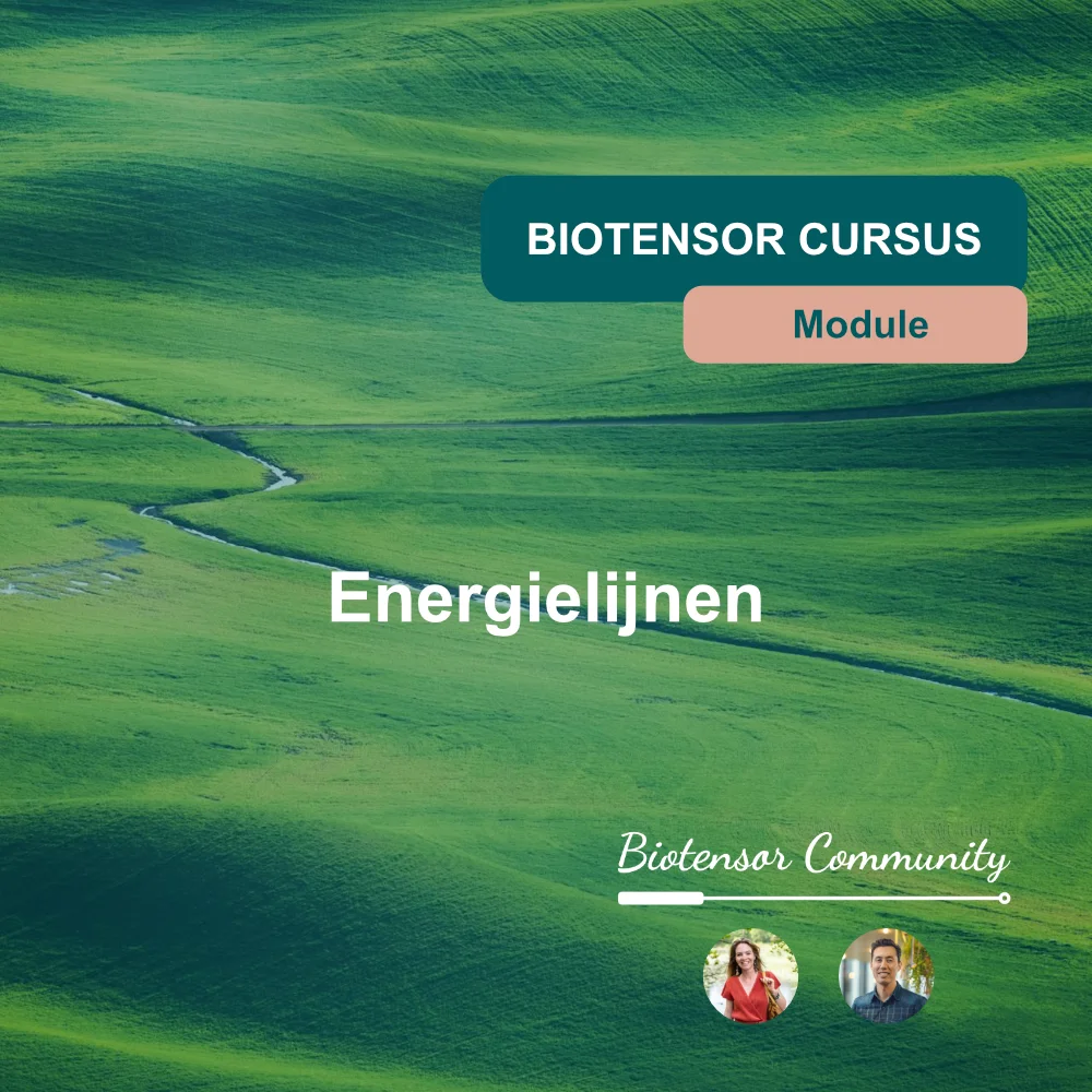 Module Energielijnen